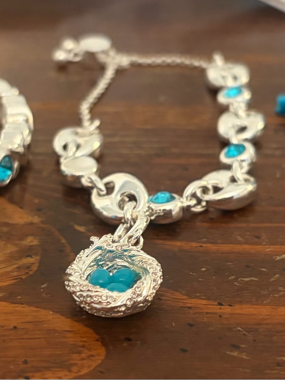 Silver Bracelet with Turquoise Blue Nest Charm - Women's Jewelry